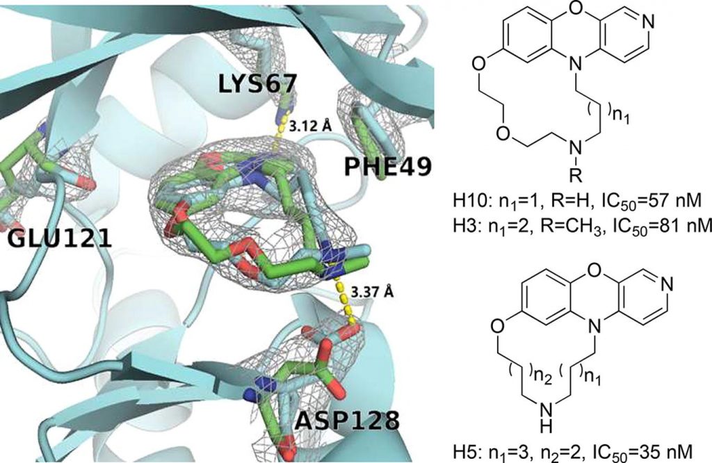 激酶抑制活性测试
